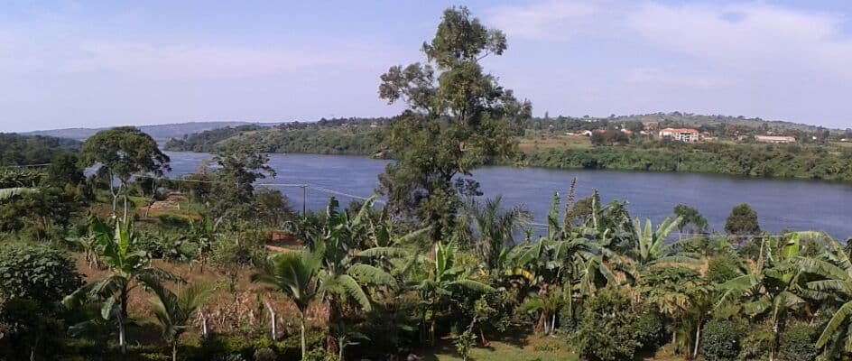 Illustration — River nile in Jinja