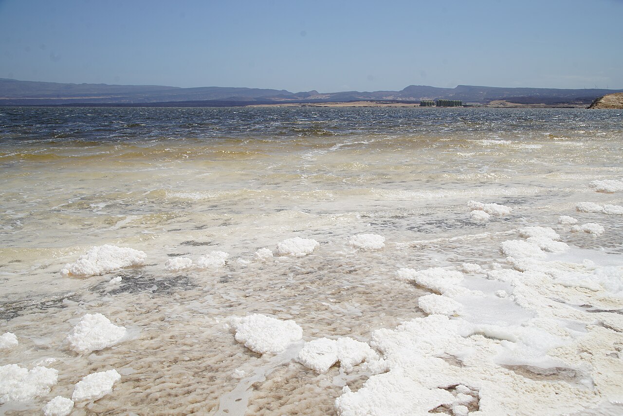 Cover — Assal Lake 2024