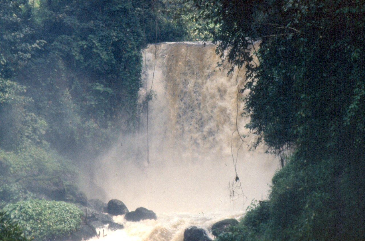 Cover — Virunga 01